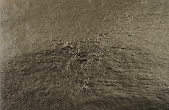 Cuivre N° 2,5 160 x 160 mm libre - la boite de 10 000 feuilles