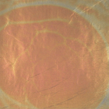 Cuivre Oxydé 270 95 x 95 mm