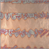 Cuivre Oxydé 234 95 x 95 mm