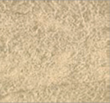 [23000422A] Or 22 carats American Schade 80 x 80 mm Libre - Le carnet de 25 feuilles