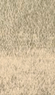 [23000420D] OR 22 CTS NEUTRE 80X80mm LIBRE 