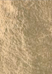 [23000499A] Or 23 3/4 carats Rosenoble 80 x 80mm libre - le carnet de 25 feuilles